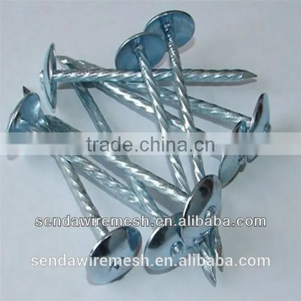 Umbrella Roofing Nails/Corrugated Roofing Nails/ Square Roofing Nails photo-3