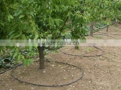 Fruit Tree Irrigation System photo-3