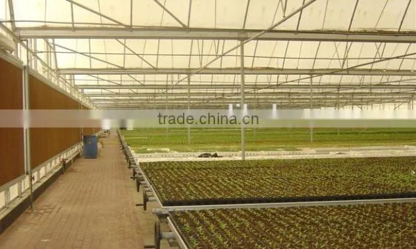 Nursery Greenhouse