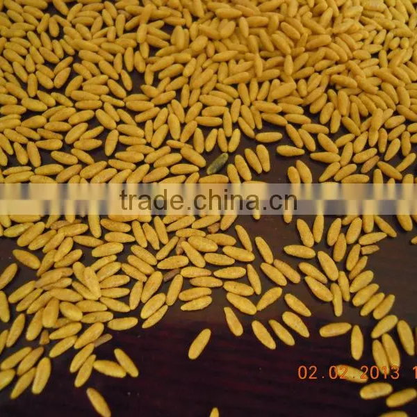 Instant Rice Nutritional Rice Food Processing Line Sherry Bian 0086-15553158922 photo-5