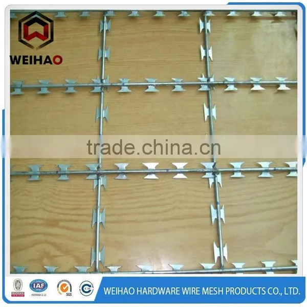 Top Credit Supplier Galvanized Rozar Barbed Wire photo-4