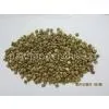 Vietnam Coffee Bean for Sell