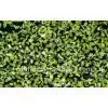 High Quality Diamond RVD for Abrasives photo-2