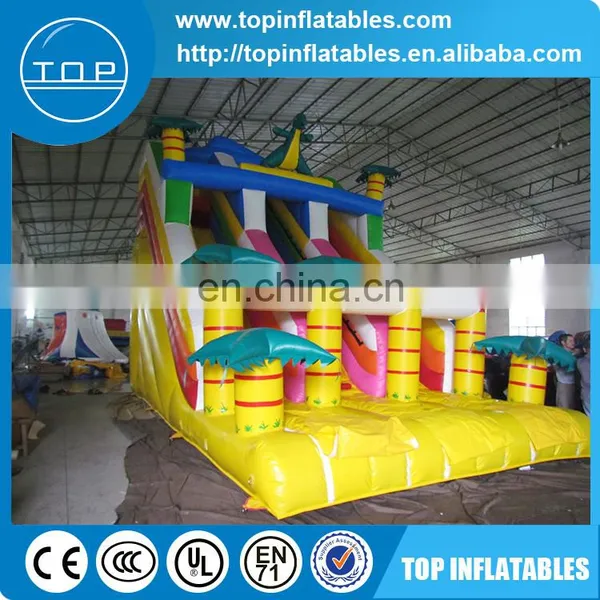 Water Park Dragon Inflatable Water Slide for Sale photo-2