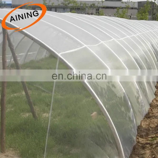 40*40,3*50 m Insect Proof Mesh Nylon Insect Net photo-5