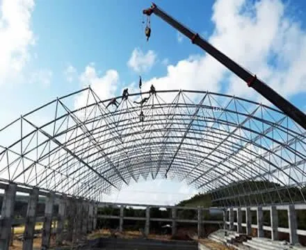Prefabricated Steel Structure Swimming Pool Roof photo-3