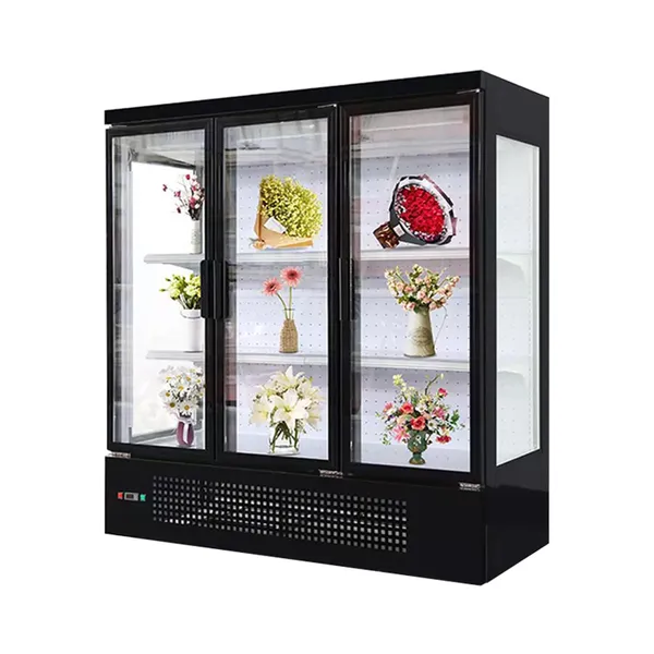 Low Energy Commercial Chiller Flower Shop Display Flowers Chiller Sold in India photo-3