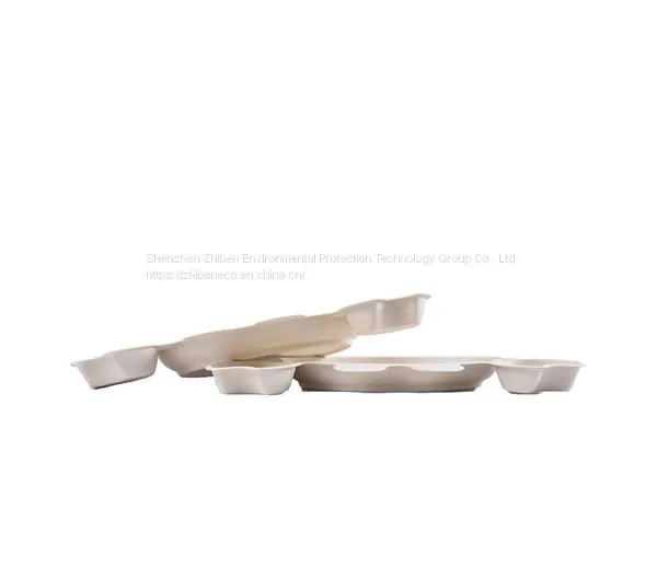 Eco Friendly Disposable & Biodegradable Molded Pulp Containers