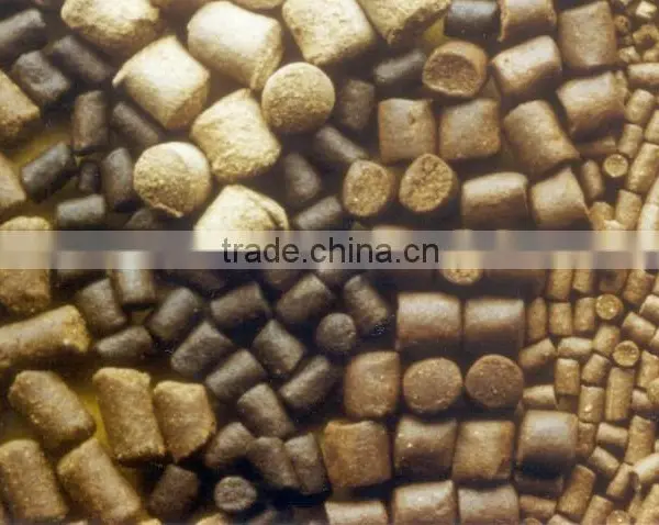 China Supplier New Product Floating Fish Fodder Processing Line photo-4