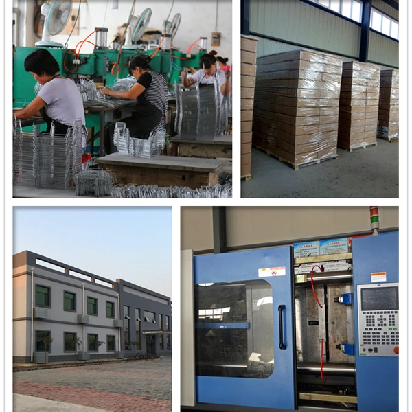 Crown Wealth Trading CO.,Ltd. company overview - view 2