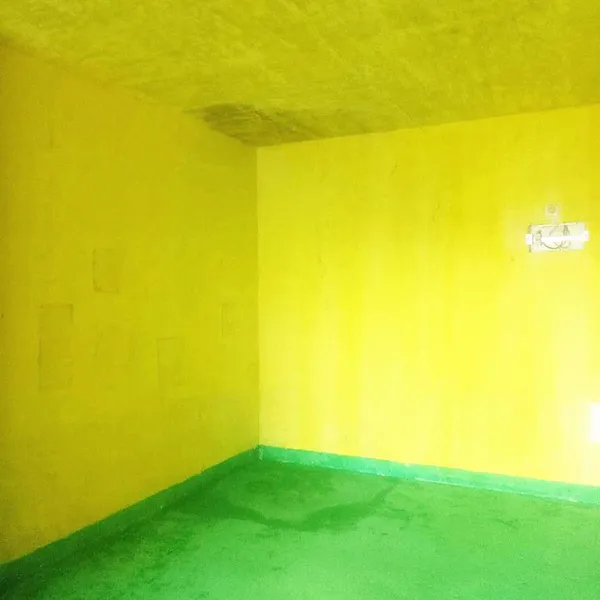 Baiyan Interior & Exterior Water-based Color Paste, Resin-free High Concentration Paste for Latex Paint & Cement-based Coatings