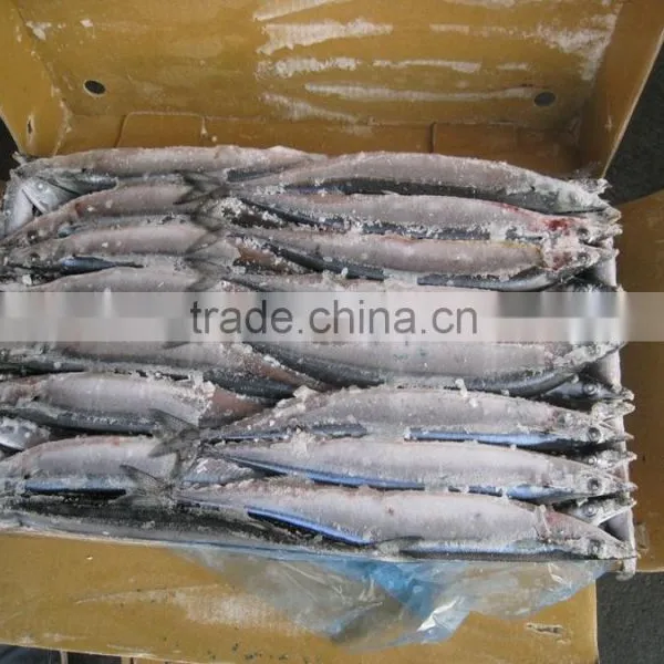 Frozen Saury photo-3