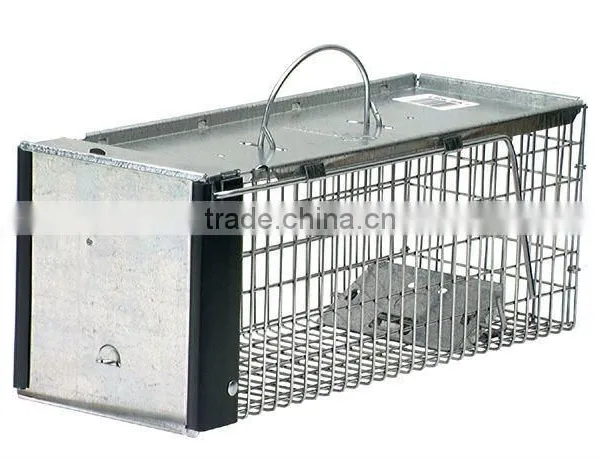 Animal Trap