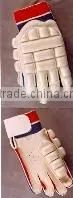 Cricket Batting Gloves