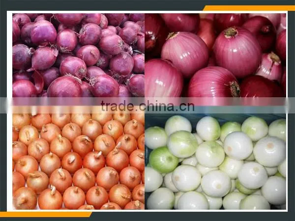 Onion Pulp Machine photo-2