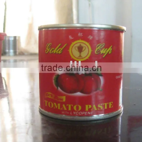 Popular Canned Tomato Paste or Ketchup
