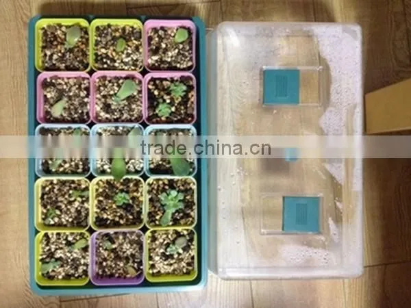Garden Greenhouse,mini Flower House photo-5
