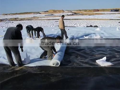 HDPE Geomembrane(1.5mm) for Fish Pond or Landfill Projects photo-6