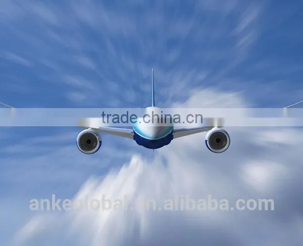 Balancing Scooter Sea Shipping Freight From China to Usa---Rocky photo-2