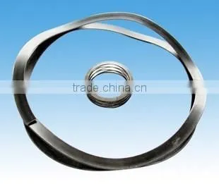 Carbon Steel and Stainless Steel Mult-layer or Single Layer Wave Washer With TS16949 Approved