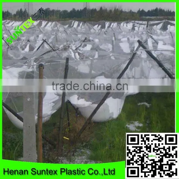 Supply Various Apple Tree Anti Hail Net/hail Protection Net/anti Brid Net photo-6