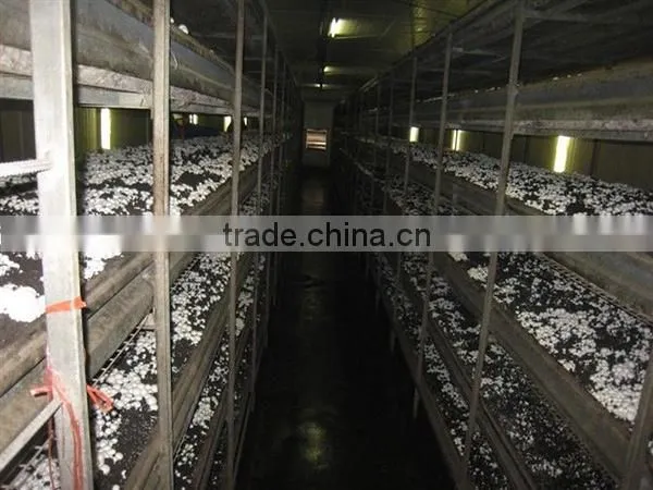 Mushroom CULTIVATION CLOTH/nursery Bed for Mushroom Greenhouse Growing photo-2