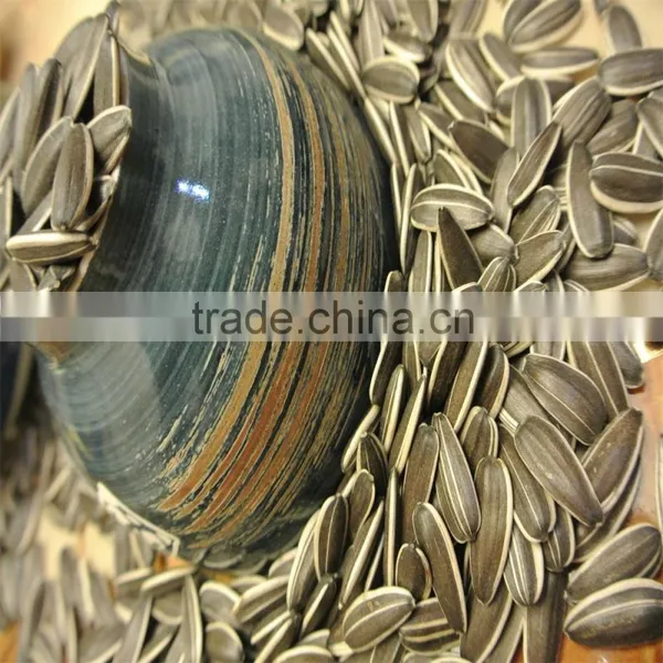 High Quality Sunflower Seeds Market Price photo-3