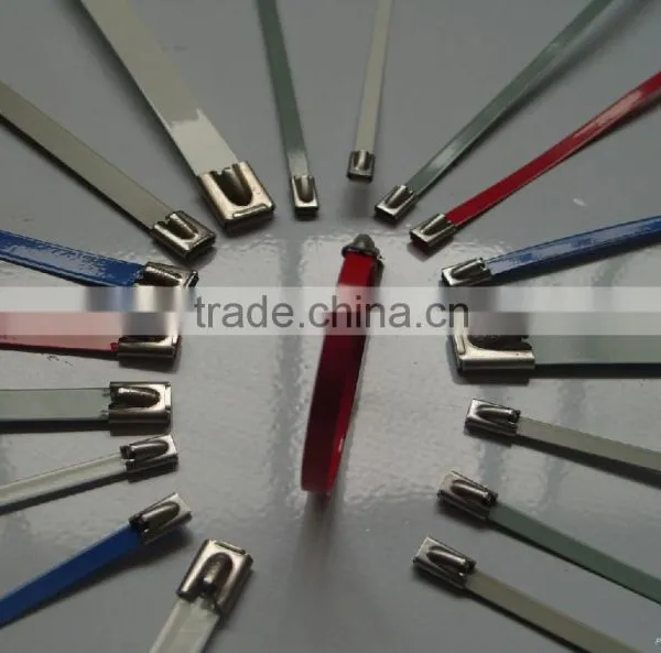 Stainless Steel Lock Ball Ties (material:304-201-316 ) 4.6*150 photo-3