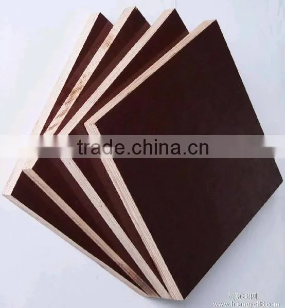 Timber Wood For Construction Building Material photo-3