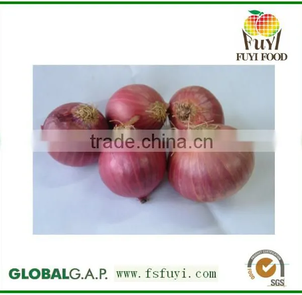 Fresh Red Shallot ,Fresh Onion Shallot,Exporter of Onion