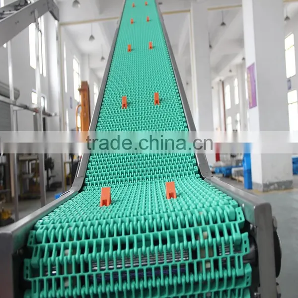 Plastic Belt Lifting Conveyor System for Different Industries photo-4