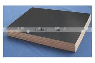 Glossy Polyester Plywood