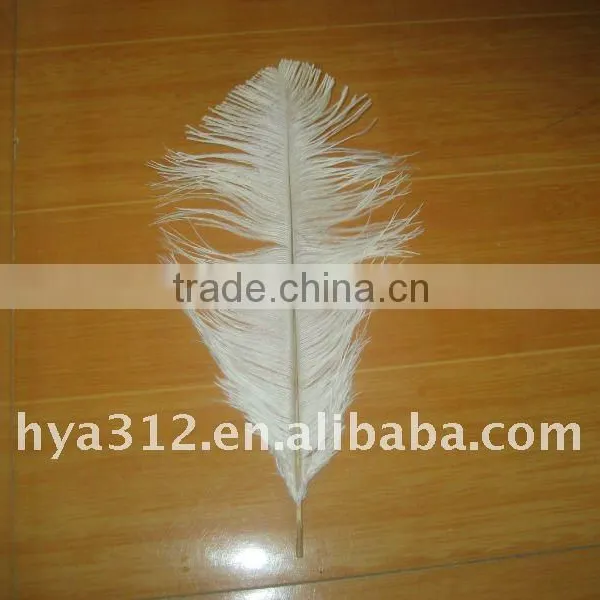 Ostrich Feather -white Feather