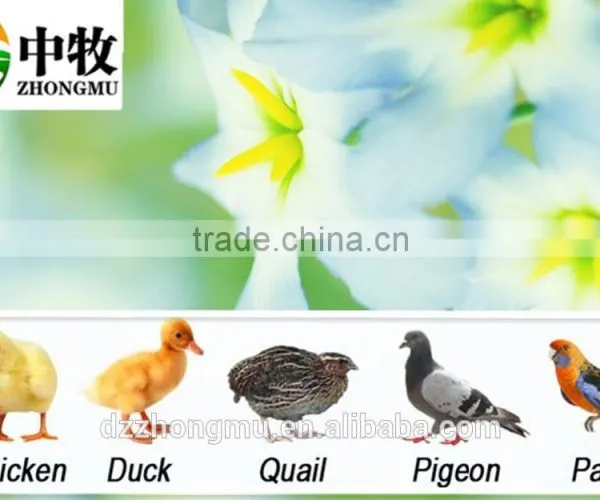 New Type ZM-264 Eggs Machine, Chicken Egg Incubator, Automatic Hatchery Machine photo-6