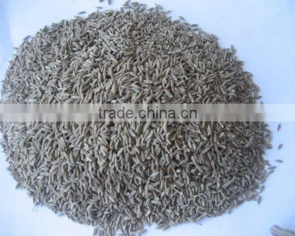 Cumin Seeds