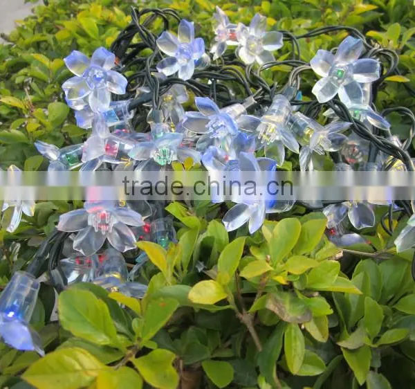 The Colourful Peach Blossom of Solar Christmas Lights photo-3