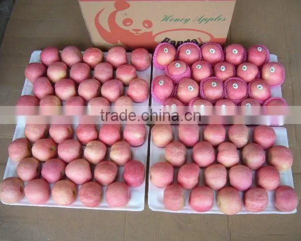 Fresh Apple Fruit Packaging photo-3
