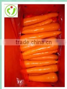 Fresh Carrots Manufacturer photo-3