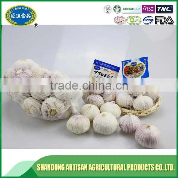 Best Price of Single Clove Garlic for Wholesale photo-5