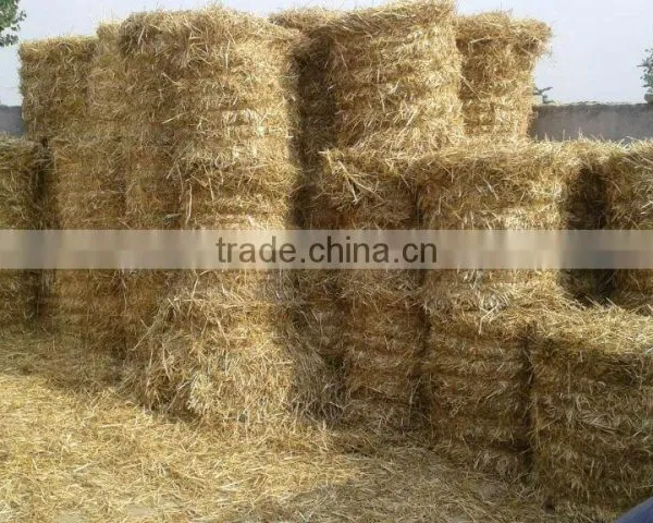 Good Quality Mini Round Hay Baler for Sale photo-6