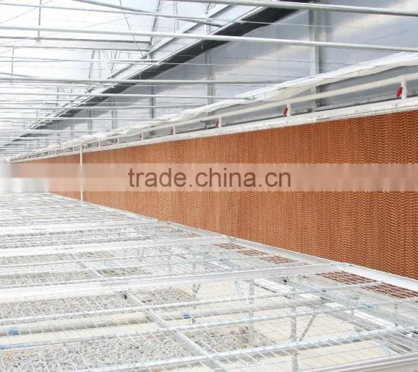 Poultry Cooling Cell Pad 220V for Greenhouse Industry Indonesdia photo-5