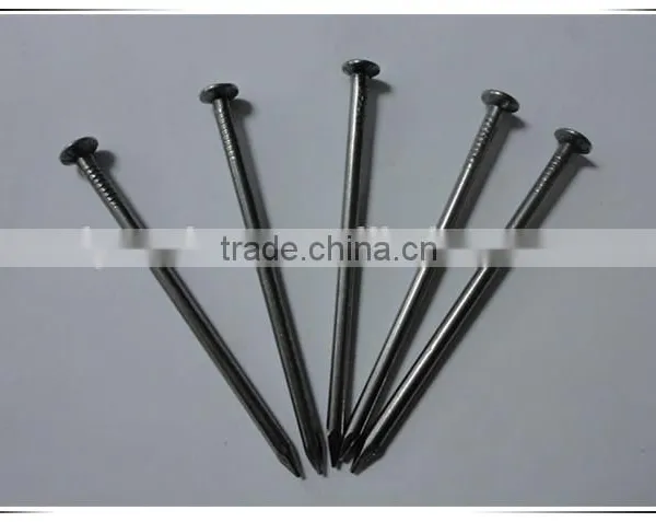 China Manufacturer Nail / Common Nail / Common Wire Nail photo-5