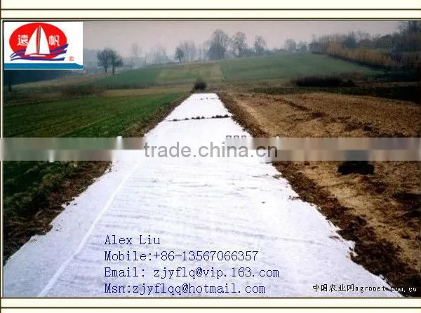 100% PP Spunbonded Non Woven Fabric Used for Agriculture Plant Cover or to Prevent the Weed and so on photo-5