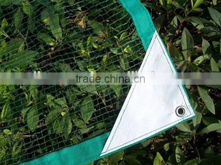 Olive Net, HDPE Net, Plastic Net, pe Net,China Supplier. photo-2