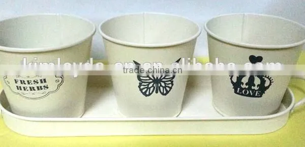Metal Flower Pots/planter in Tray photo-4
