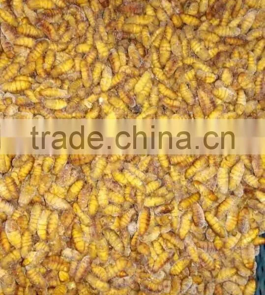 Food Of Human Frozen Silkworm Chrysalis photo-2