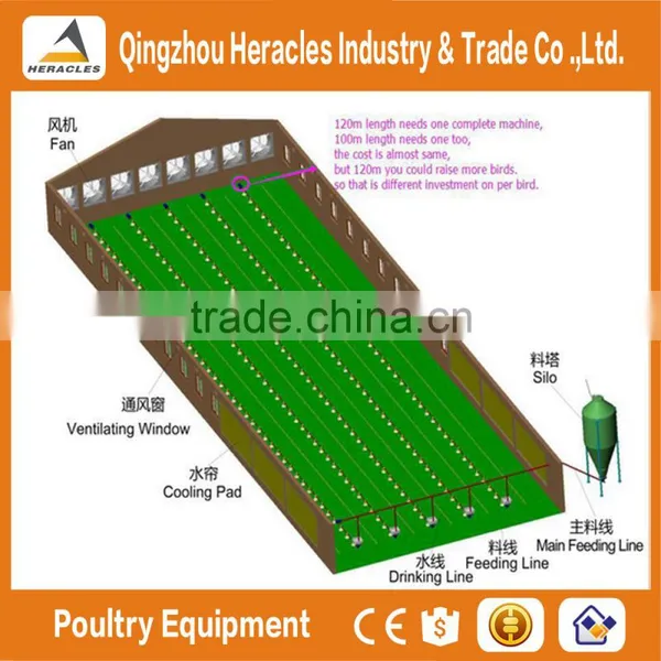 Trade Assurance Broiler Poultry Farming in India/poultry Farm House Design photo-6