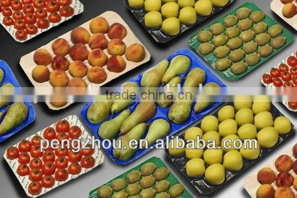 Popular Wholesale USA Mexico Canada High Quality Custom Metric Pet Fruit Tray Liners photo-3