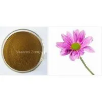 Echinacea Herb P.E Plant Extract Factory