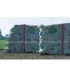 Kids Climbing Wall